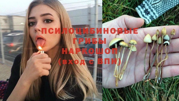 дживик Армянск